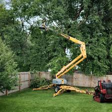 Mulching Services in Montgomery, PA